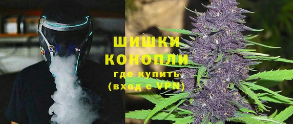 прущие грибы Абаза