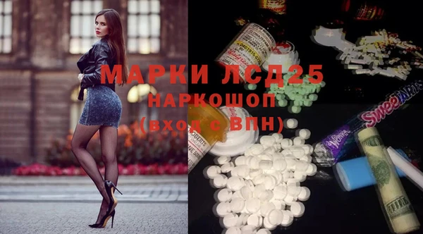 прущие грибы Абаза