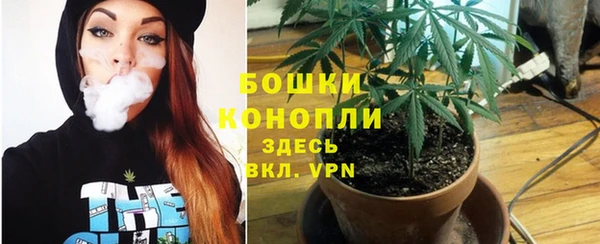 молекула духа Нефтекумск