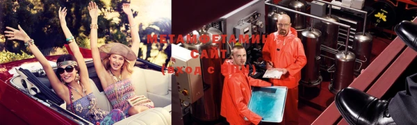 прущие грибы Абаза