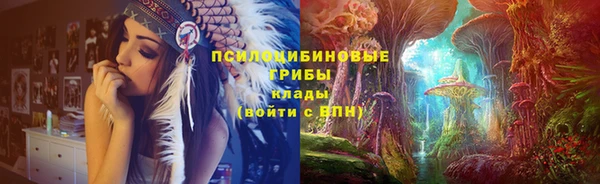 прущие грибы Абаза