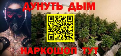 прущие грибы Можайск