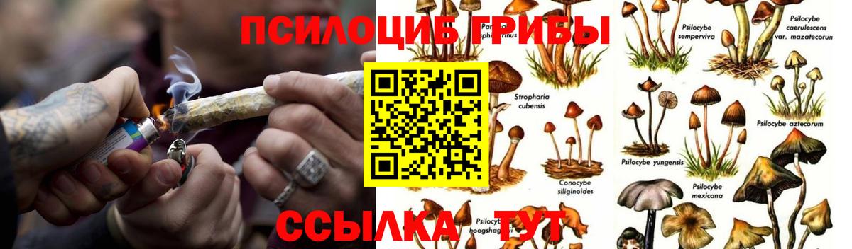 Шебекино  Галлюциногенные грибы ЛСД  Вход с VPN 